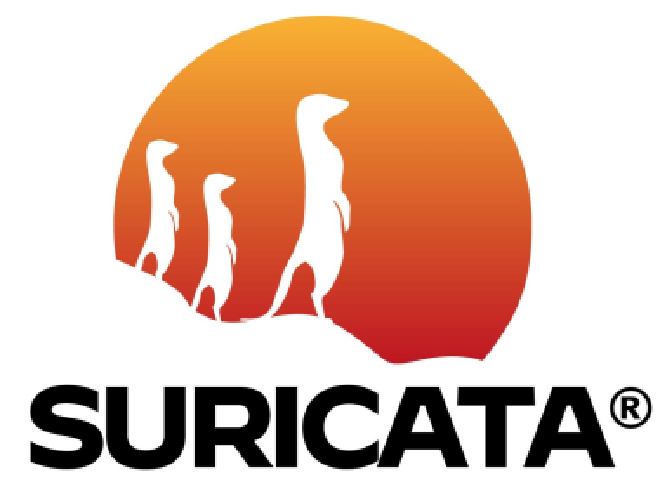 Suricata